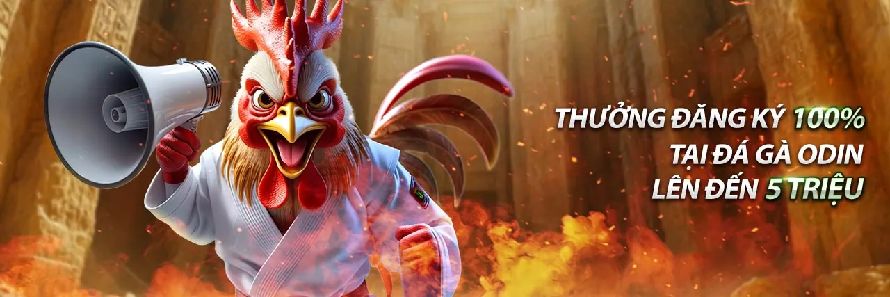 Tin tức và cập nhật mới nhất từ 33bet