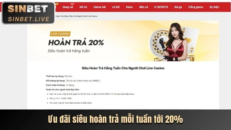 Hoàn trả thua cược 33bet
